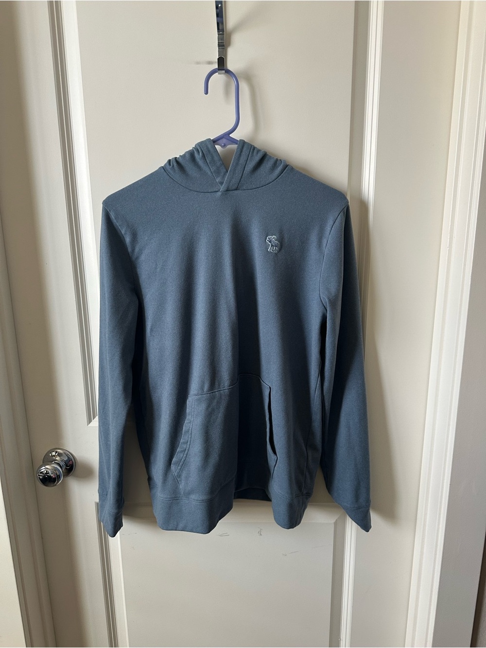 Abercrombie & Fitch Big Kids Boys Cozy Hooded Hoodie Sweatshirt Sz 17-18T
